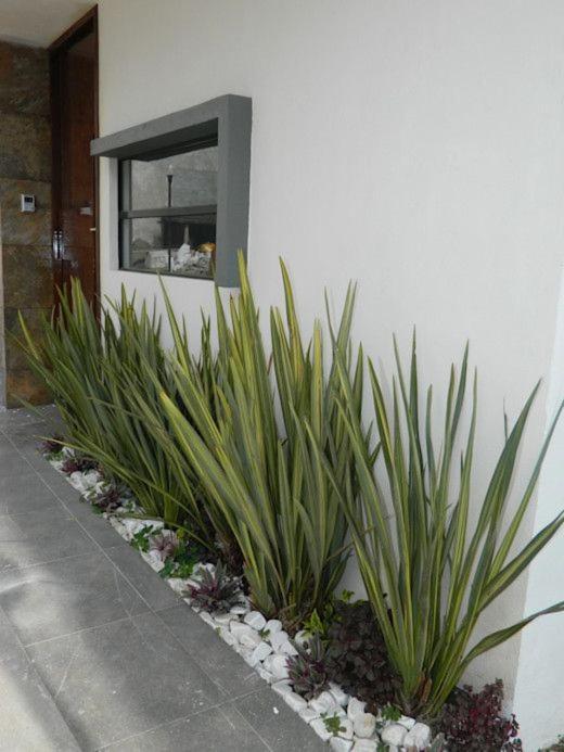 Apartamento Erita Apartment Alicante Bagian luar foto